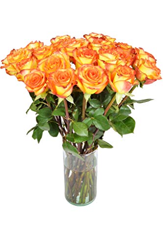 Arabella Farm Direct Bouquet of 18 Fresh Cut Yellow Roses with a Free