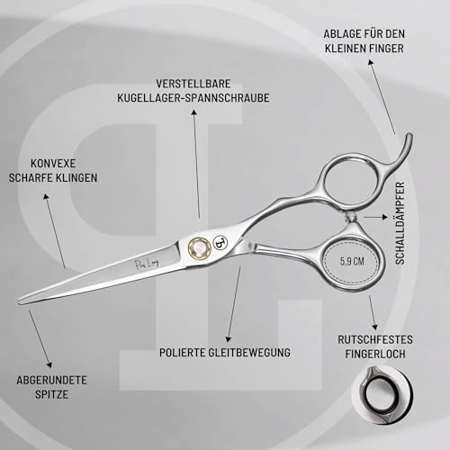 PIUS LANG Profi Friseurschere 6,5 Zoll seit 1852 – Premium Haarschneideschere für Friseurschüler, Einsteiger & gehobene Anwendung zu Hause, konvexe Klingen, Kugellager-Spannsystem + Etui