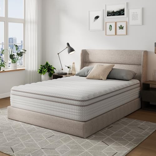 Novilla Queen Mattress, 10 Inch Queen Size Mattresses in a Box with Smarts™ Pocket Coil for Pressure Relief, Medium Plush Foam and Spring Hybrid Colchones with CertiPUR-US Certified