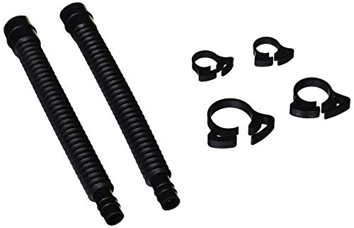 eg (Tetra) z[XZbg `w|STvXp