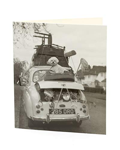 Camden Graphics 382598 - 0-1 Fun photo