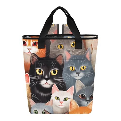 N[[obO 킢 Jt L |[^u N[[obO 36 Rh~ pg[gobO `p