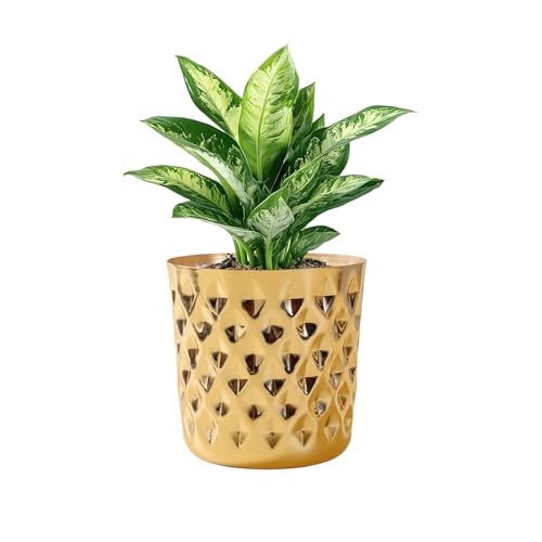 Image of Modern Gold Metal Plant Pot with Diamond Pattern, Decorative Indoor Planter, Tabletop Flowerpot Planter for livingroom Office and Home Decor (5 inch, Gold)