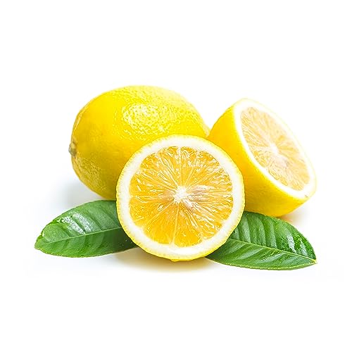 Lemon Extract - Pure and Terpeneless - Tart Lemony Flavor for Cakes - Cookies - Icing - Filling - Terpeneless - PG Free - Non-GMO - Gluten Free - Kosher - Vegan - 8 ounces