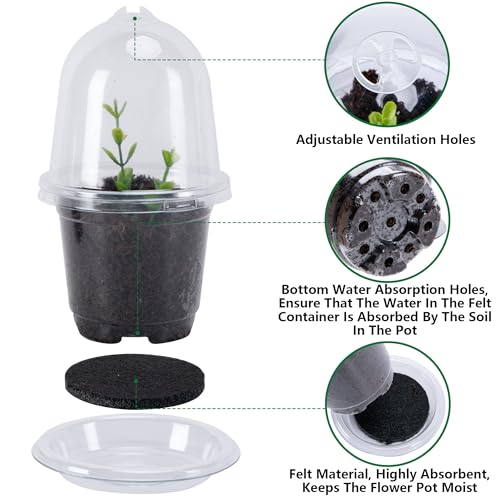 EBaokuup 20 Pack Self Watering Seed Starter Pot, 3 Inch Automatic Watering Plant Nursery Pots with Humidity Dome, Self Watering Nursery Pots for Potted Plants Seed Germination by EBaokuup - Used condition - Image 3