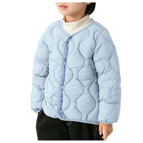 [veolaimy] _EWPbg LbY y ~p Ci[_E ̎q j̎q ȓ  g q ȃWPbg ݂Ȃ 傫TCY AE^[ {[CY n JWA u] K[Y Vv  ʉ ʊw Lv