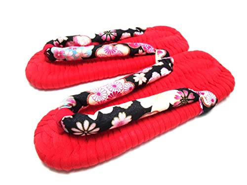 [炶] z jbgԖn̂ɍảʂ͂Ȃ(NIT-G-51j24.5