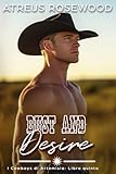 dust and desire (versione italiana): una storia d'amore tra cowboy gay