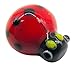 Westmon Works Lucky Ladybug Legend Pocket Charm Set Little Good Luck Glass Token with Story Card