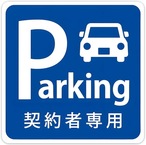 ԏ Ŕy_Ґpԏz300×300mm Ŕv[g TC { ē TCv[g ŔW Ŕh~  f A~W