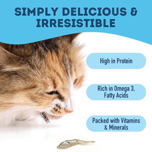 Image of Granville Island Dehydrated Sardines Dog & Cat Treats (14 oz, Pack of 1)