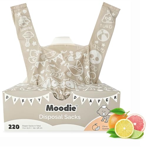 Top 10 Best Sassy Diaper Bags Picks And Buying Guide Glory Cycles