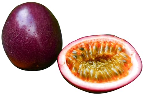 [orietty's farm]購入奄美パッションフルーツ 0.8kg 家庭用(サイズ混合)(8個前後)