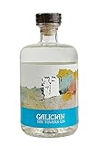 Dry Towers - Ginebra Gallega Premium 70cl
