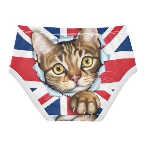 Toddler Underwear Floral 2t Cotton Panties for Girl Designer Briefs Girls Undies UK Flag Tabby Cat Cute2