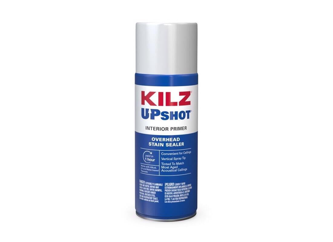 Masterchem Industries 10007 Primer Sealer, 10 oz