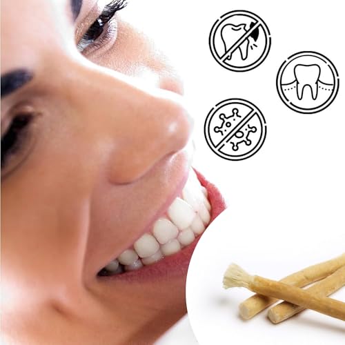 Siwak oder Miswak 6 Stäbchen 15 cm – Sewak – natürliche Zahnhygiene Swak – Reinigung von Zähnen und Zahnfleisch, 6 Stück