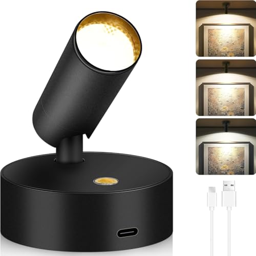 LED Wall Light, 3 Color Temperatures 10 Brightness Levels Wall Mount Light, Indoor Plant Spotlight, Full Rotation Magnetic Study Light for Study, Plant Lighting, Picture Lighting (Black)