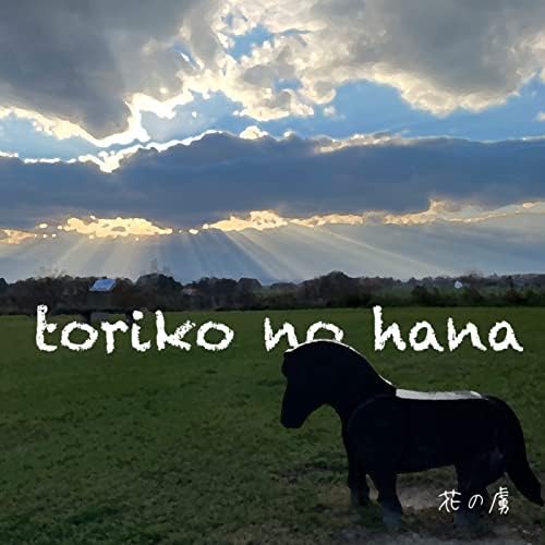 Amazon Music - 花の虜のtoriko no hana - Amazon.co.jp