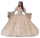 Dinjicun Women's Princess Cinderella Ball Gown Quinceanera Dresses Puff Sleeve Flower Applique Sweet 16 Dress