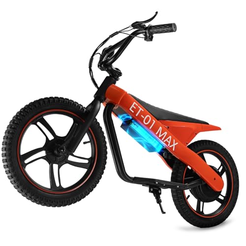 DUODIAN Electric Bike for Kids Aged 6 and Above, 350W