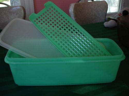 Tupperware Green Veggie Keeper with lid removed, showing the green grate inside.