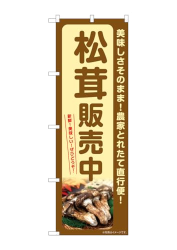 ̂ڂ艮H[(Noboriyakobo) SNB-7359 ̔ W600×H1800mm 1  OO |W  ɐ 󒍐Yi