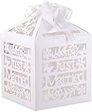 Kate Aspen Just Married Birdcage Gift Card Box, Decoration Box for Wedding, Bridal Showers and Parties - Easily Assembled