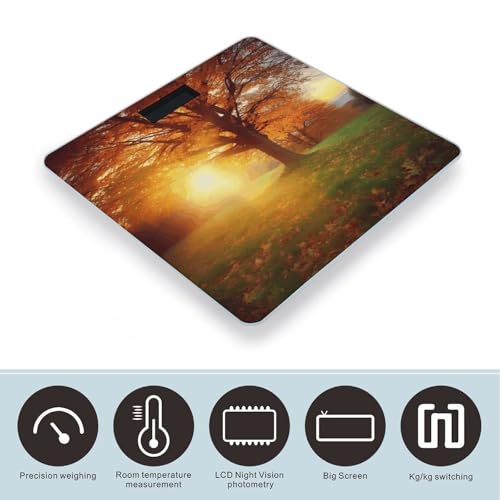 Báscula digital para baño con vidrio templado y pantalla LCD miniatura 3