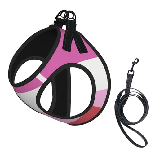 Lesbian Pride Flag Small Pet Towing Vest, Adjustable