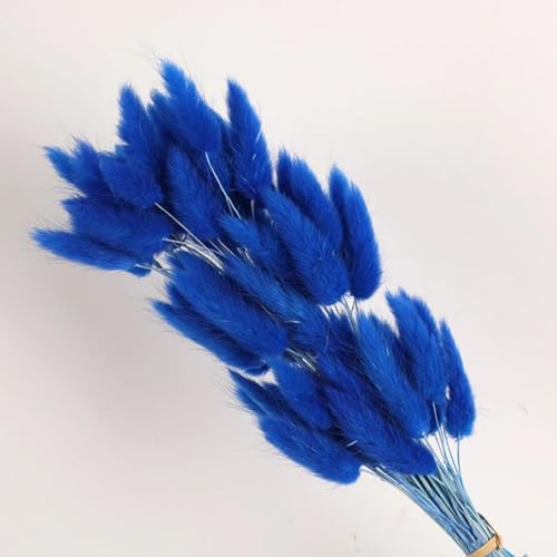 Pampas Grass Decor Tall 100Pcs 17.72 Inch Natural Bunny Rabbit Tail Grass miniatura 1