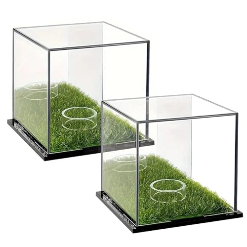 Vitrina transparente para pelotas de golf, soporte transparente para pelotas de golf | Soporte para pelota de golf individual de acrílico 2X - Caja de almacenamiento, protección contra el polvo