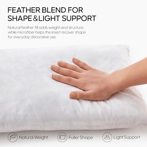 Image of Feather Throw Pillow Inserts Set of 2, Soft Fluffy Square 18 x 18 Inches Decorative Pillow Insert, Feather and Down Filled Euro Pillows