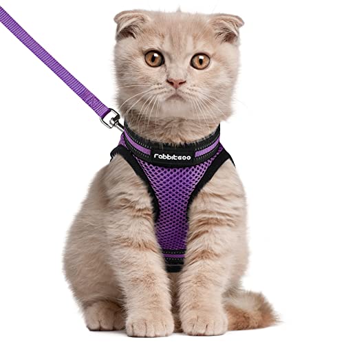 rabbitgoo Cat Harness and Leash Set for Walking Escape Proof Adjustable Soft Kittens Vest with Reflective Strip for Extra Small Cats Comfortable Choke-Proof Outdoor Vest Harness