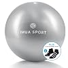 Barre Ball with Grippy Socks