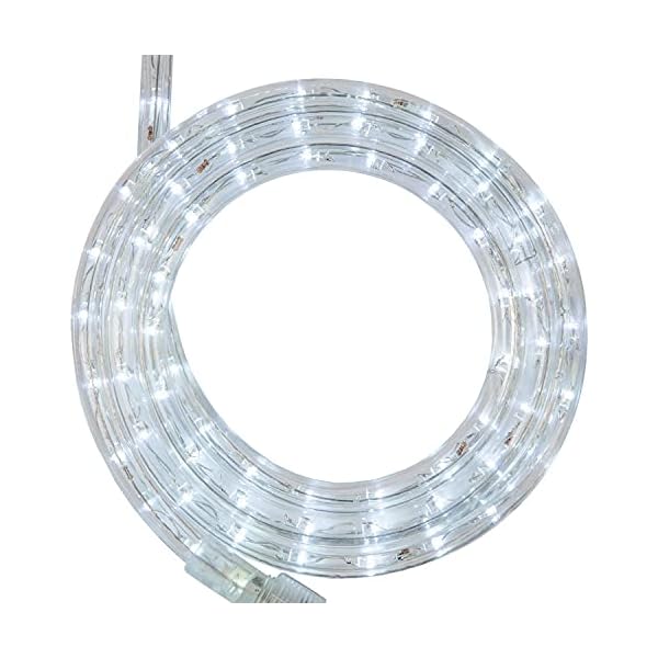 Wintergreen lighting led rope light, led flexible light rope string light outdoor – led light rope bedroom portable led light rope, 120v, ½ inch, 2-wire