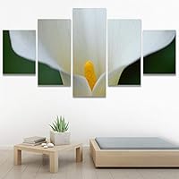 SIGNWIN 5 Panel Canvas Wall Art Botanical Chic Closeup Expressive Multicolor Photography for Home Decorations Ready to Hang - 60