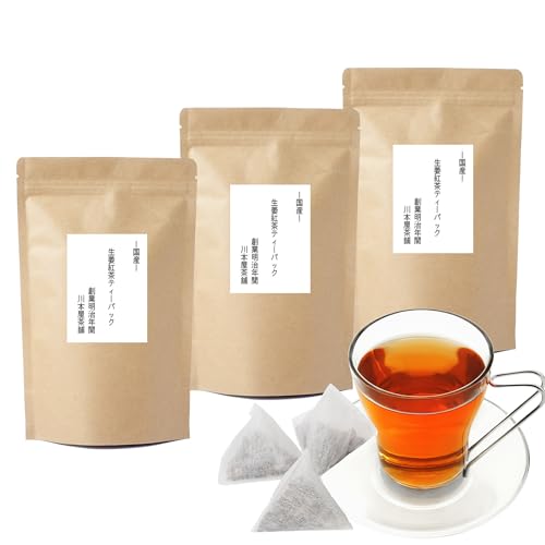 国産 生姜茶紅茶 ティーバッグ 生姜茶 紅茶 ジンジャーティー しょうが茶 無添加 川本屋茶舗 (20包×3袋)