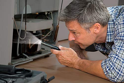 Energizer Linternas Profesionales Inspection Light, Batterie Incluse, 100 Lumen, Cromato - 10