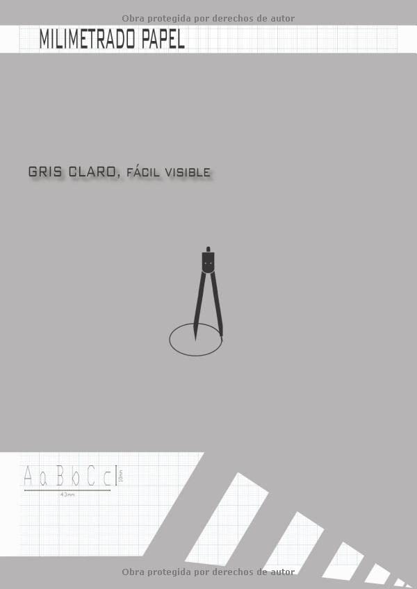 Milimetrado Papel, Cuaderno de dibujo del arquitecto Libro de cuadrados métricos para diseñador (Spanish Edition)