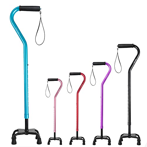 List of 10 Best Of 4 Prong Canes 2023 Reviews