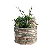 Rondin en bois rustique chic recouvert de corde verte crème et jute, Décor bureau plantes vertes artificielles succulentes, Centre de table, Faux succulents arrangement and greenery, Artificials greens plants & succulents in wood log, Single wood cedar log centerpiece decor, Wooden desk decor, Mini centerpiece