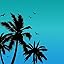 Bluegradient&palmtree