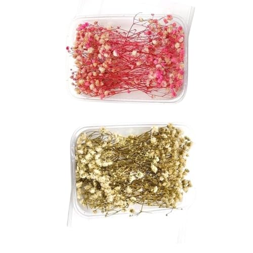 2 Box Natural Dried Baby Breath Flowers | Real Pressed Flowers for Resin Art, DIY Crafts, Nail Art, Candle & Soap Making Jewellery, Pendant (Babysbreath) Combo of 2 (Pink & White)-image-45