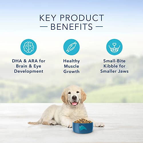 Blue Buffalo Life Protection Formula Natural Puppy Dry Dog Food, Chicken and Brown Rice 15-lb - Image 5