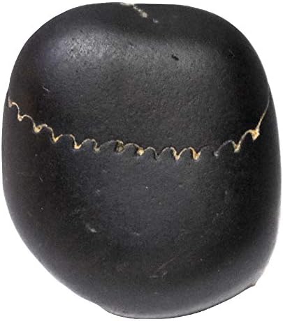 Laxmi Shaligram