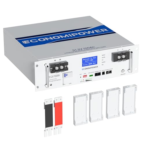 48V 100Ah LiFePO4 Lithium Battery, Server Rack Battery with Bluetooth,