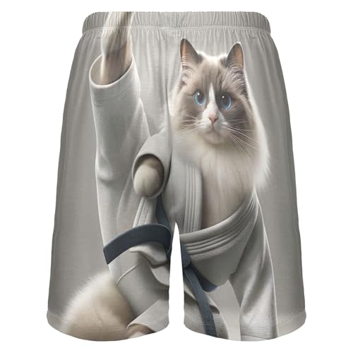Colorful Pajama Mens Shorts Athletic Pj Sleep Shorts Funny Soft Comfy Kung Fu Cat Ragdoll S2