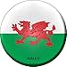 Wales Novelty Metal Circular Sign C-474