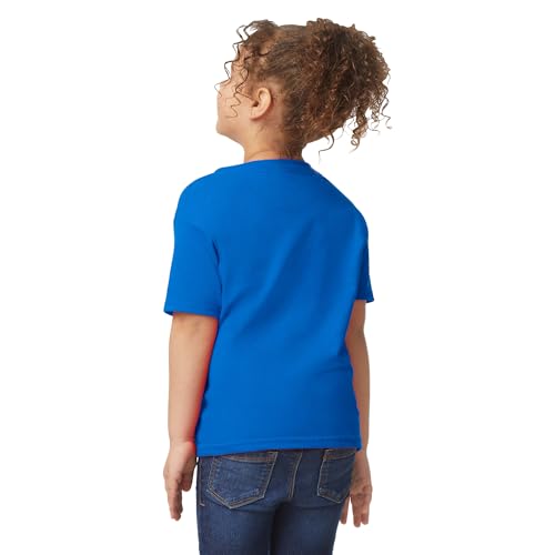 Gildan Kids' Toddler T-Shirt, 2-Pack3